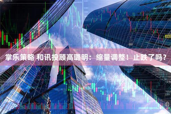 掌乐策略 和讯投顾高璐明：缩量调整！止跌了吗？