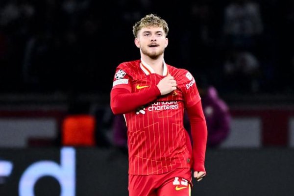 宏泰证券 奥哈拉: 热刺应该签下埃利奥特, 4000万镑的要价绝对值得