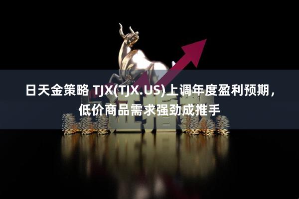 日天金策略 TJX(TJX.US)上调年度盈利预期，低价商品需求强劲成推手